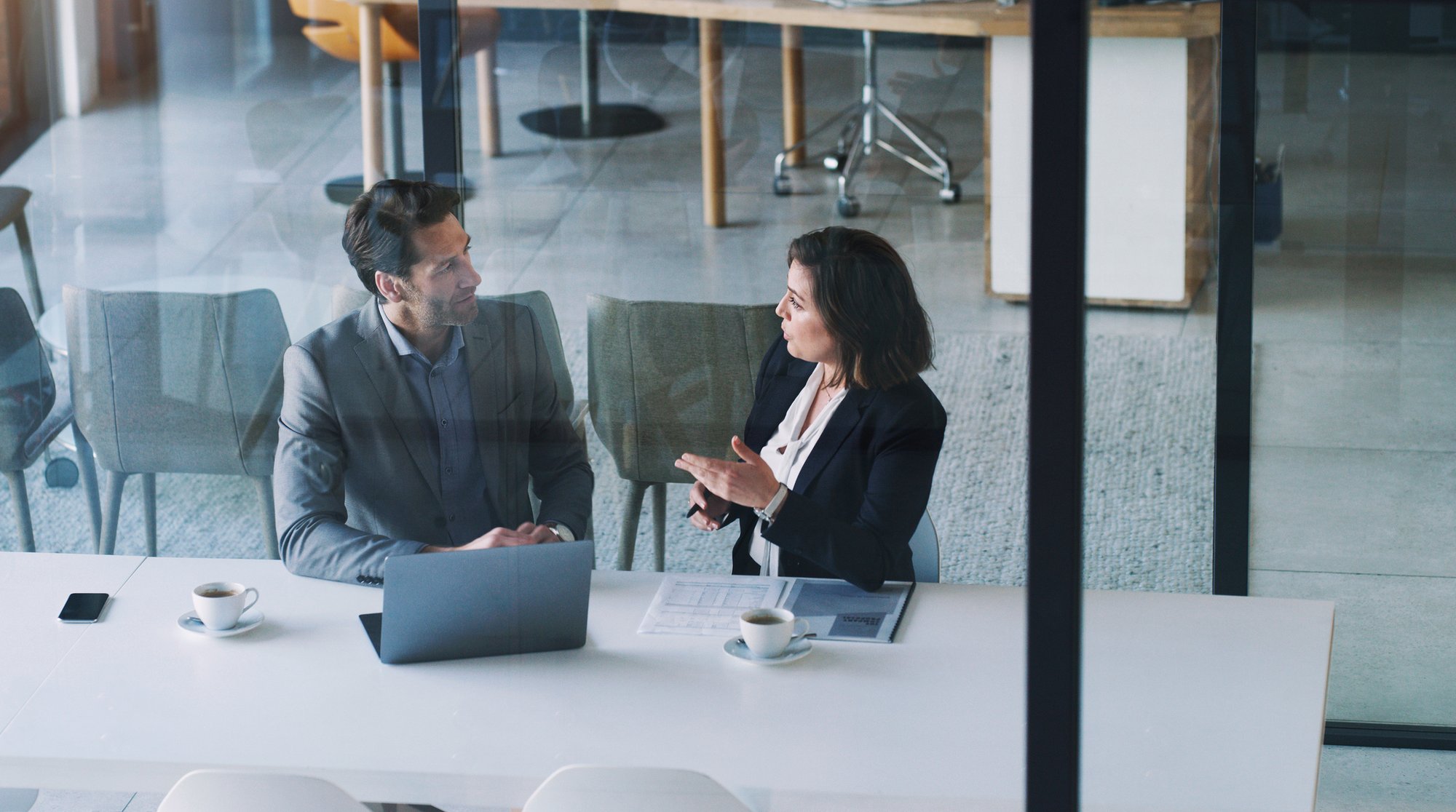 Professional in meeting